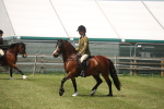 SBM_06936