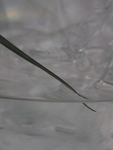 P5160273