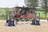 BPP_8952