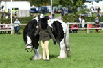 SBM_46985
