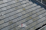 Roof Surveys-5