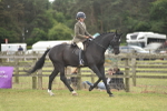 SBM_15935