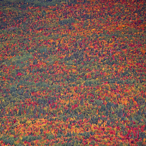 Looking down on Mount Carleton Provincial Park from atop Mount Sagamook.