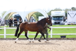 SBM_02459
