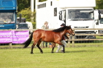 SBM_00571