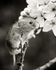 20140405-3K8A9711-2868