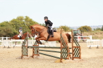 SBM_004380