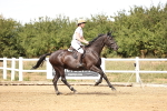 SBM_001073