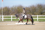 SBM_002195