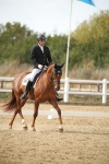 SBM_003351