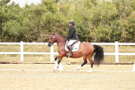 SBM_002753