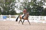 SBM_07934