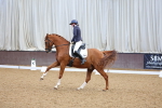 SBM_002354