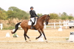 SBM_004497