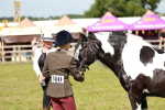SBM_08827