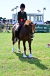 SBM_08095