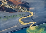 River Serpent