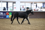 SBM_5469