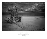 Big Talbot Island SP II