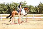 SBM_000276
