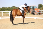 SBM_006842