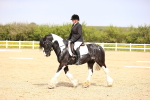 SBM_007495