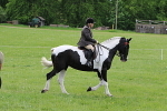 SIAL3715