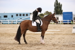 SBM_001221