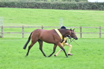 SBM_64963