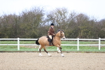 SBM_007578