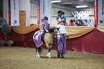 SBM_15813