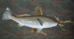 MARTINEZ