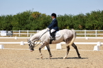 SBM_012513