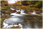 The Rustic Bridge, Tollymore Forest (IMG0689)
