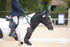 20260816-0005