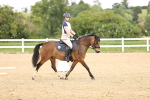 SBM_001428