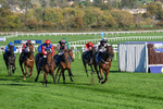 251025-Race 4-Gowel Road-9184