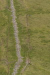 Ennerdale-152