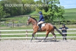 BPP_7234