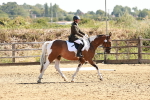 SBM_000785