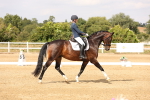 SBM_001981