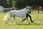 SBM_00743
