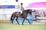 SBM_11412