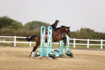SBM_000974