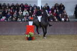 SBM_003234
