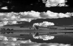 Porter Lagoon Reflections-2 in Mono-7859