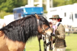 SBM_00828