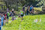The Finish-345