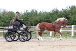 SBM_000372