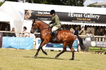 Class 88-89 - LIHS BSHA Rising Star of Ridden Hunter Type portfolio